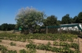 6, Kgope Farm For Sale 